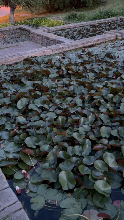 Mossen Cinto Verdaguer - Community Gardens Near Me - Barcelona, B