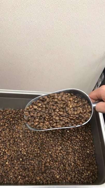 Daily Spark Coffee - We roast our own coffee beans!!! Come in and enjoy a fresh roasted cup of coffee or latte! - Coffee & Tea Near Me - Henderson, Nevada