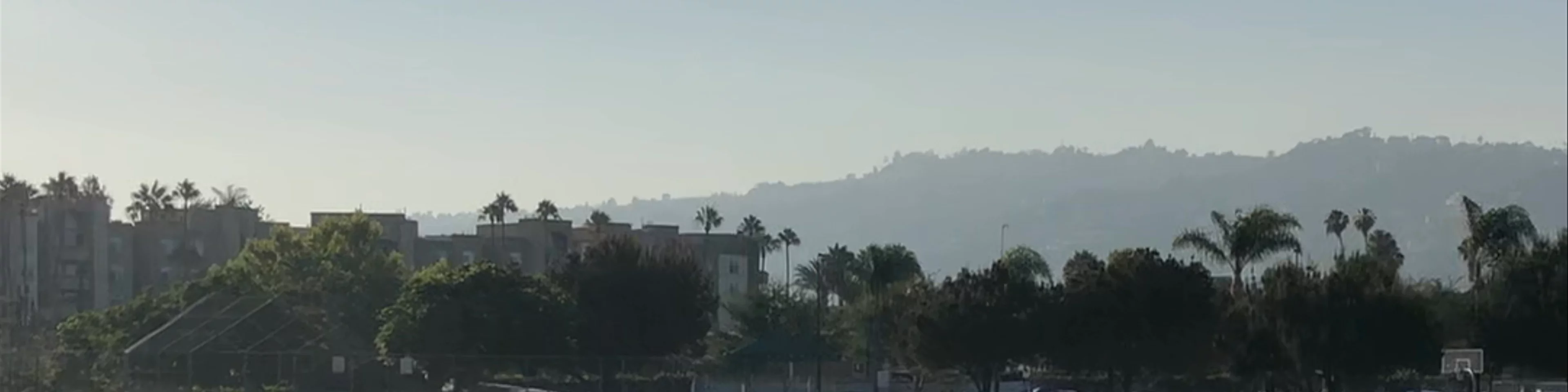 Pan Pacific Park 