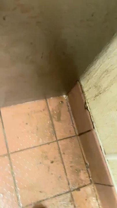 Pizza Hut - Look how filthy and the sludge on the walls I leaned up against the wall and stuck to it like fucking Velcro - Pizza Near Me - Red Oak, Texas
