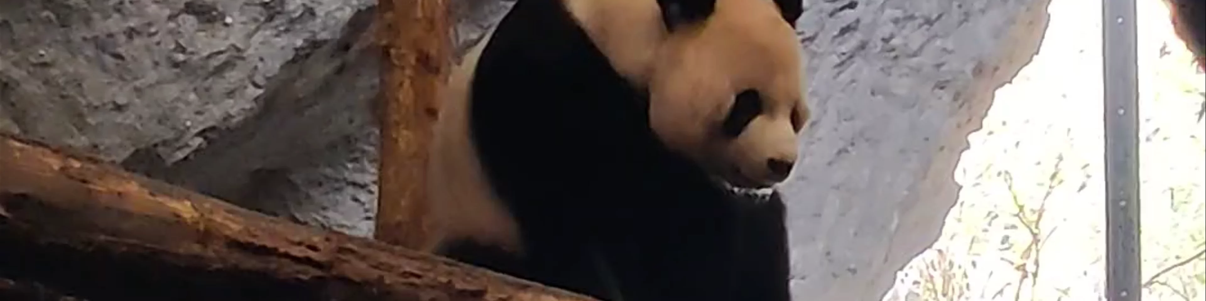 Pairi Daiza