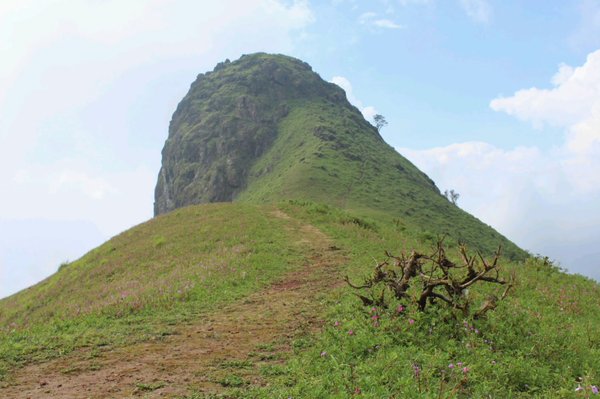 Photo of Ethina Bhuja 