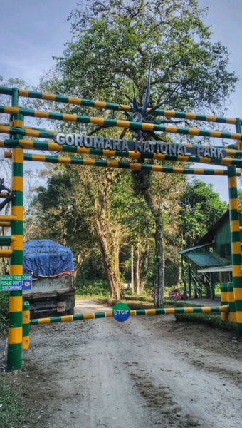 Photo of JungleJourney #fores