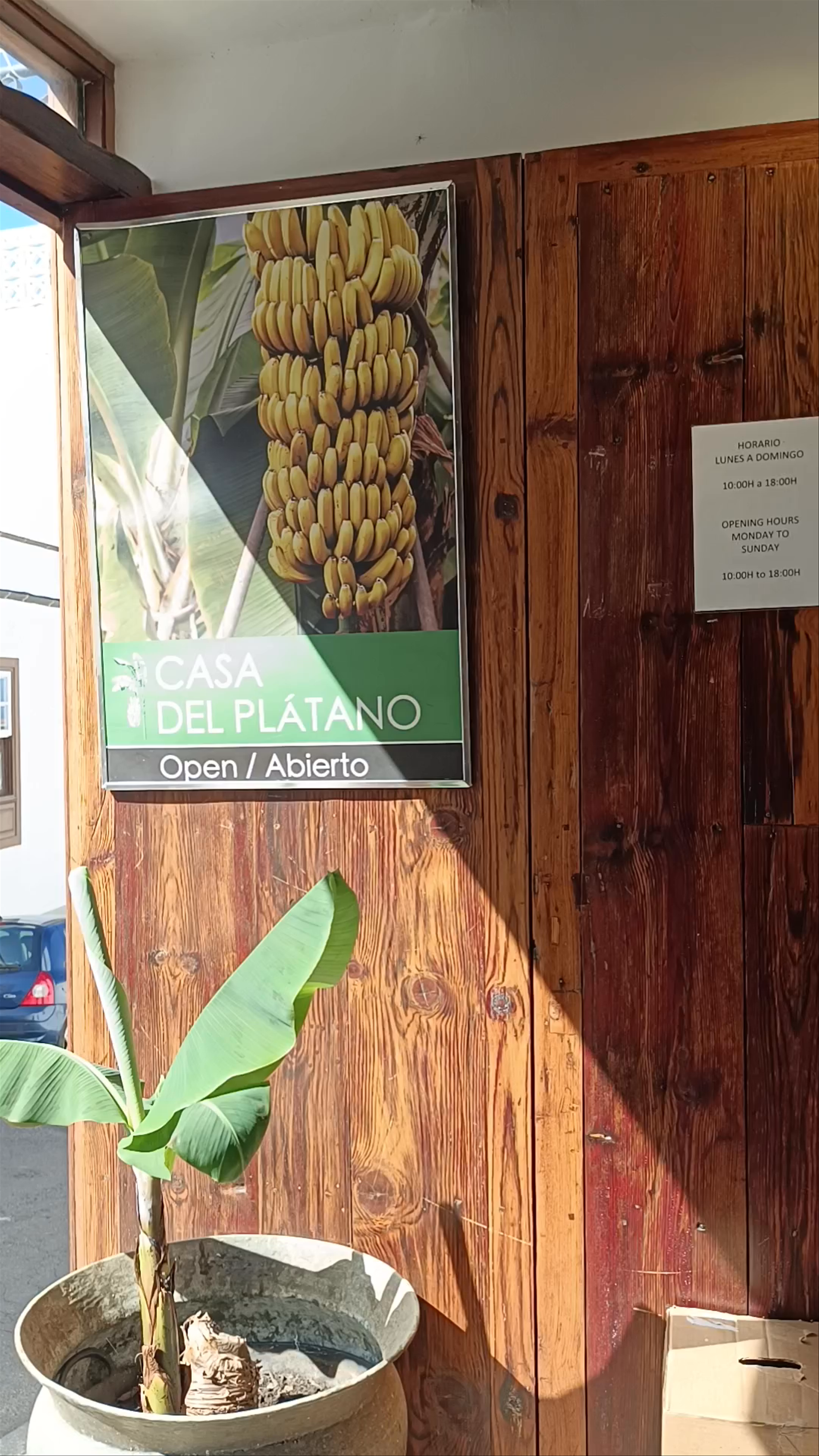 Casa del Plátano: A Banana Lover's Paradise in Icod de los Vinos