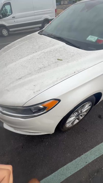 Riverhead Ford - Dirt and sap from them neglecting it and this is how they give it back without washing it. - Car Dealers Near Me - Riverhead, New York