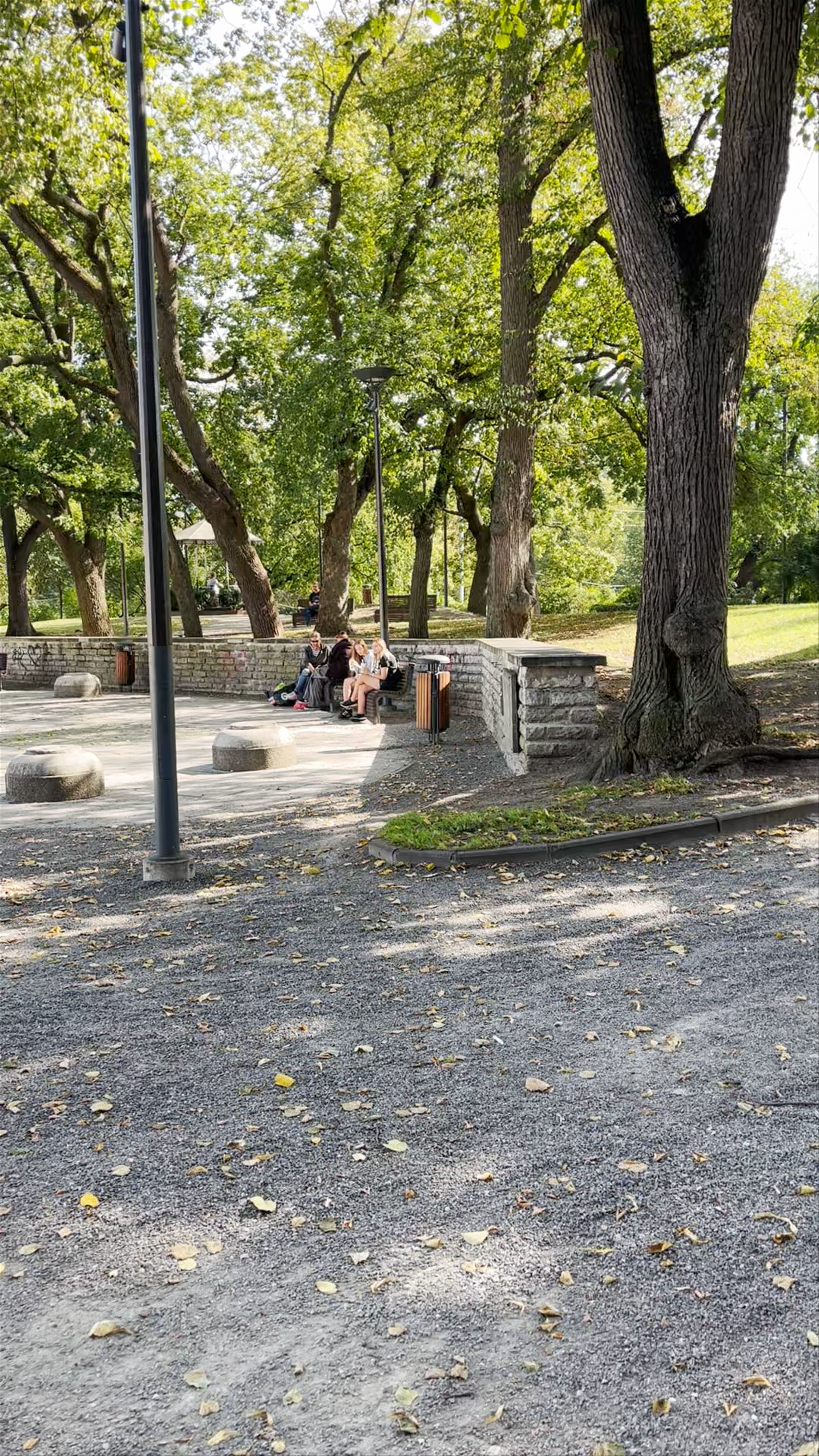 Virumägi / Musumägi