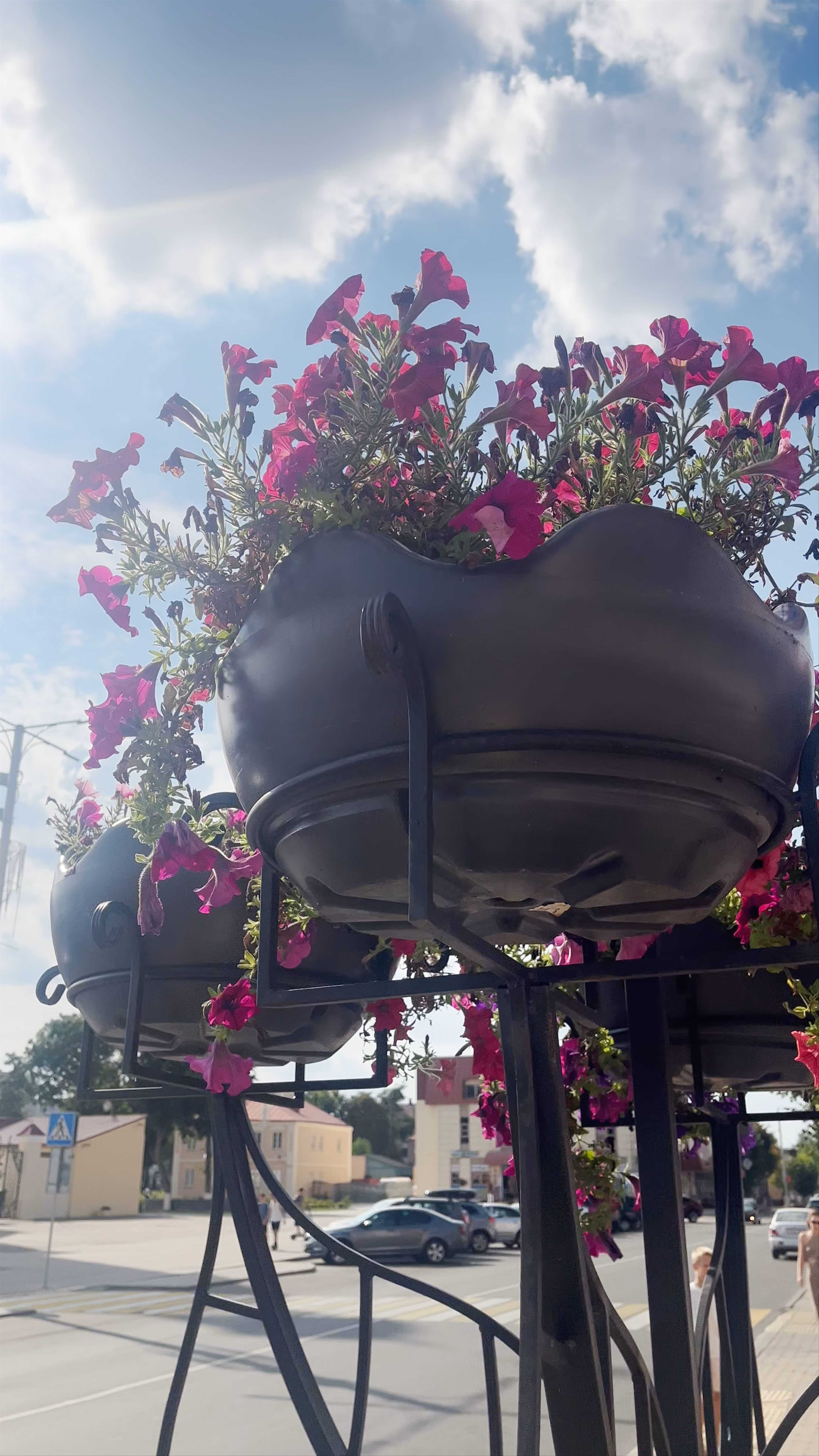 Historic Town Center and Floral Charm in Nesvizh, Belarus