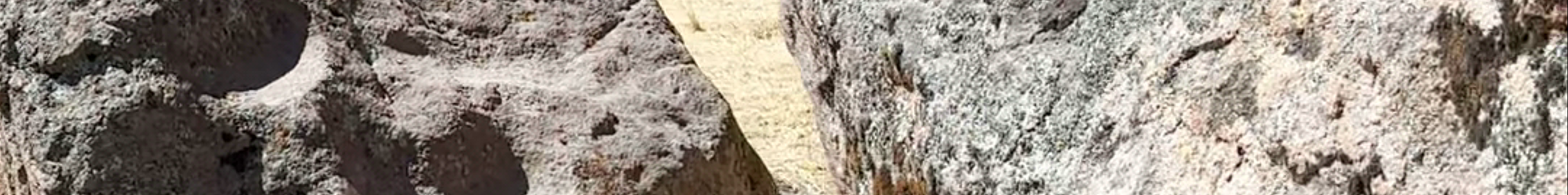 Tours & experiences in Bolivia