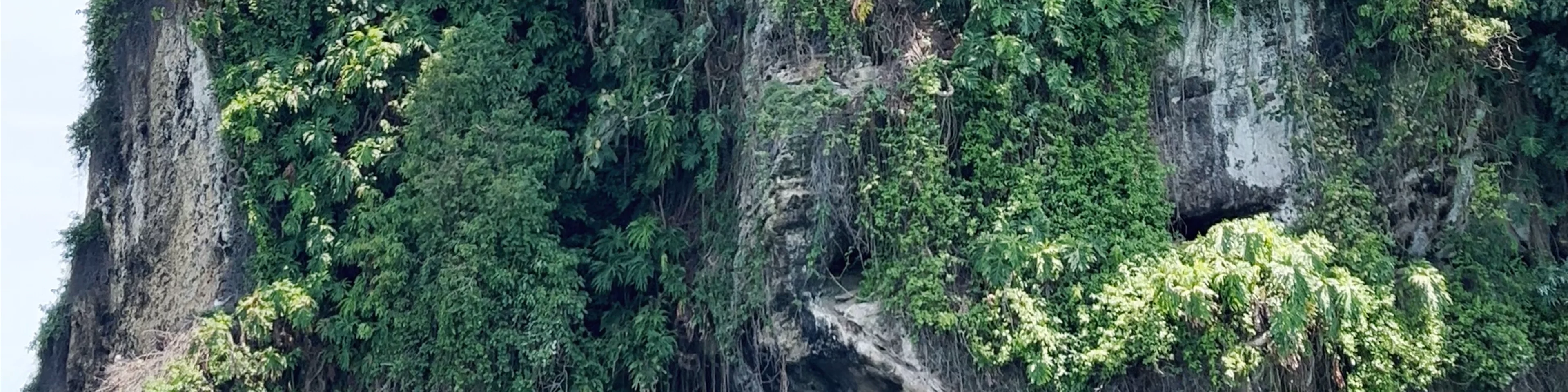 Isla Pájaros