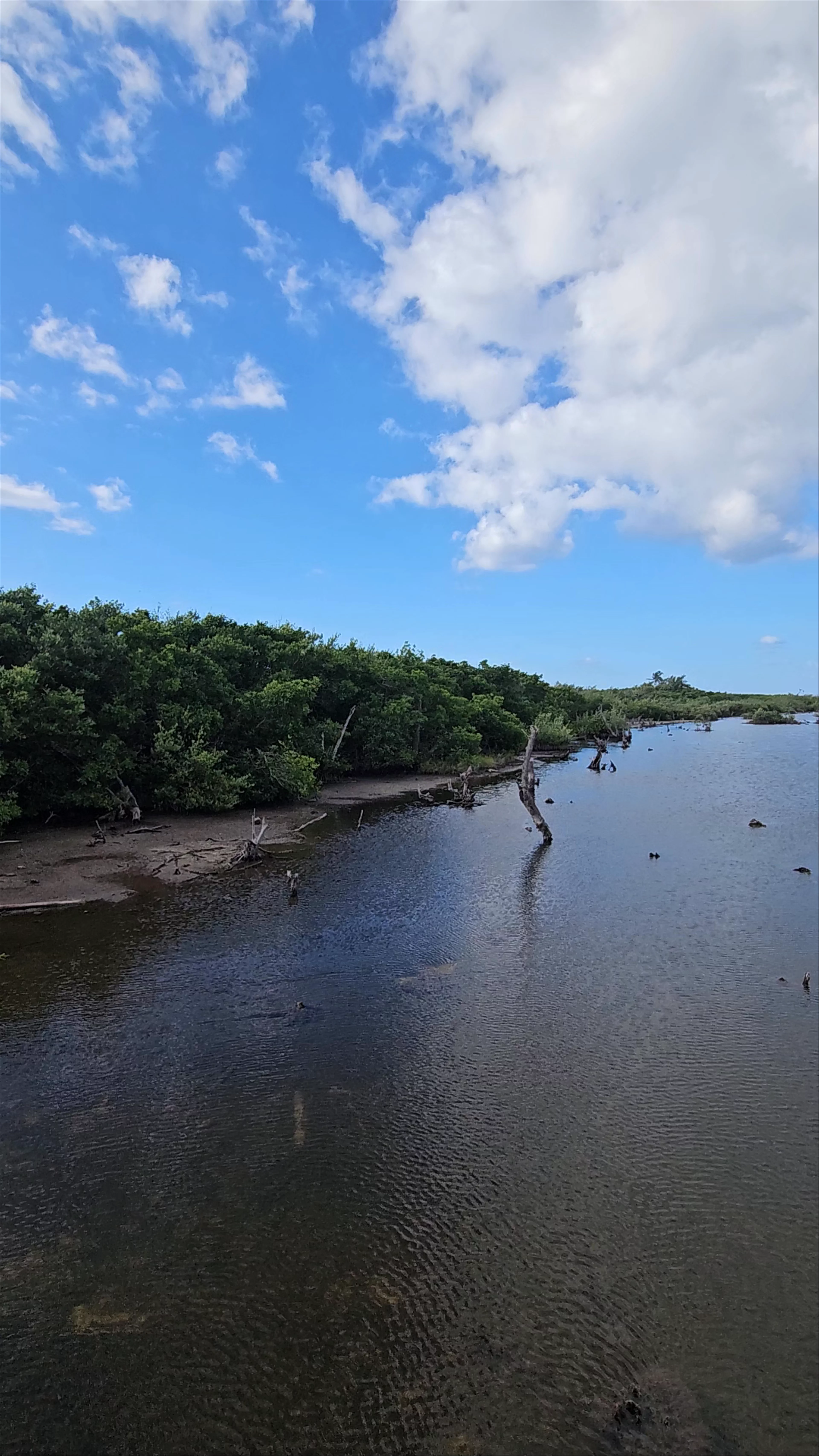 Punta Sur Eco Beach Park
