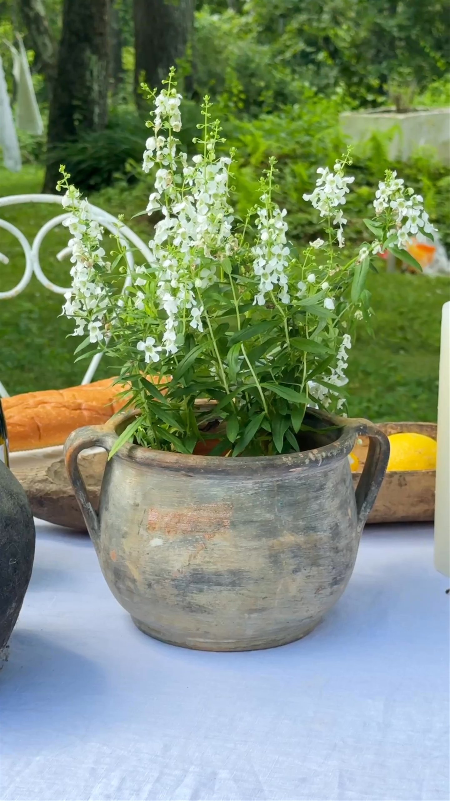 Hungarian Confit Pot
