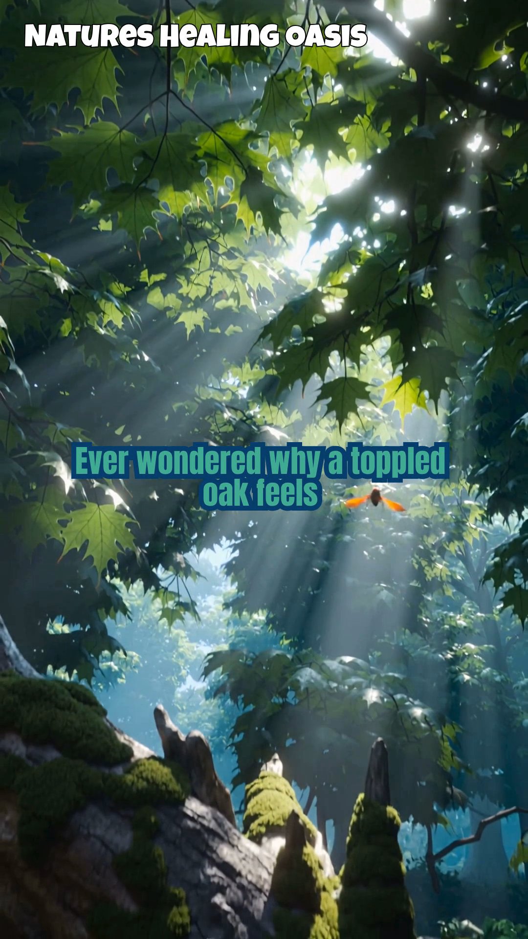 Nature's Hidden Healers: Fallen Trees and Driftwood