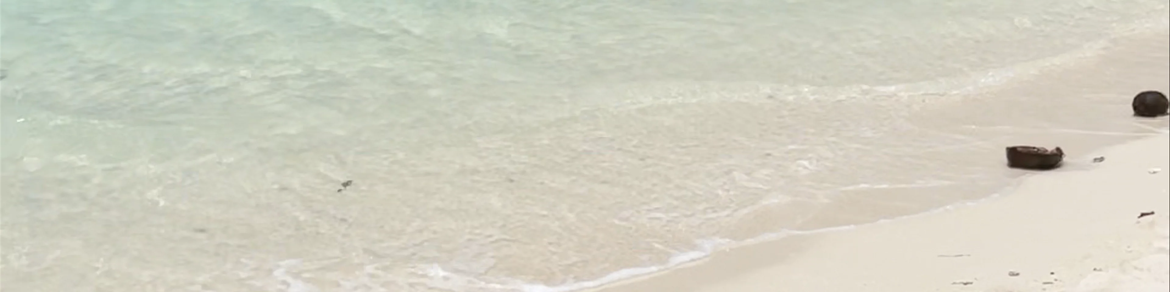 White Beach Moalboal