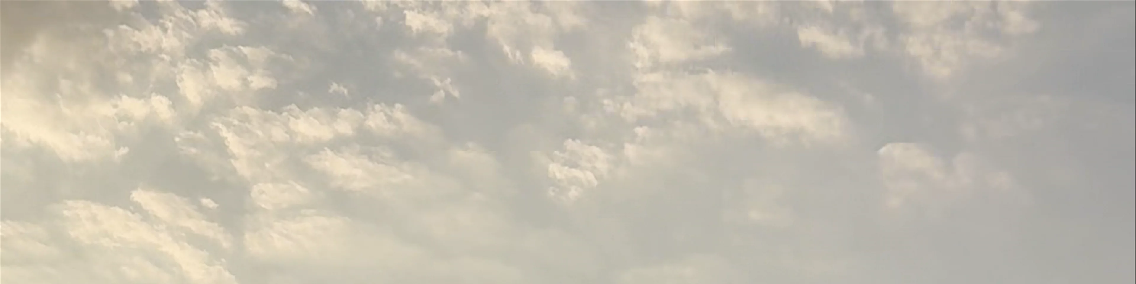 شاطئ الملكة سبأ، Yemen