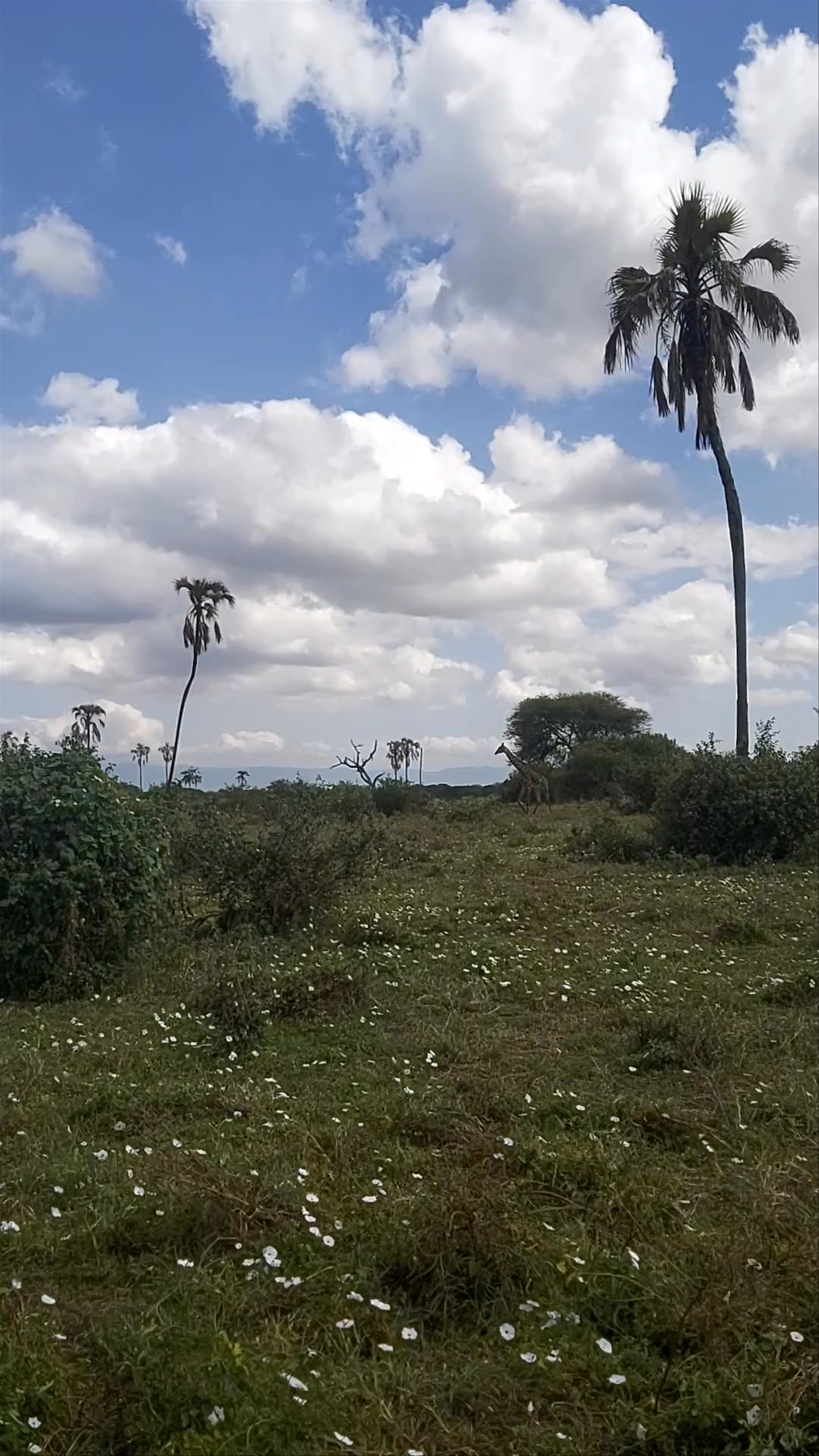 Tarangire National Park