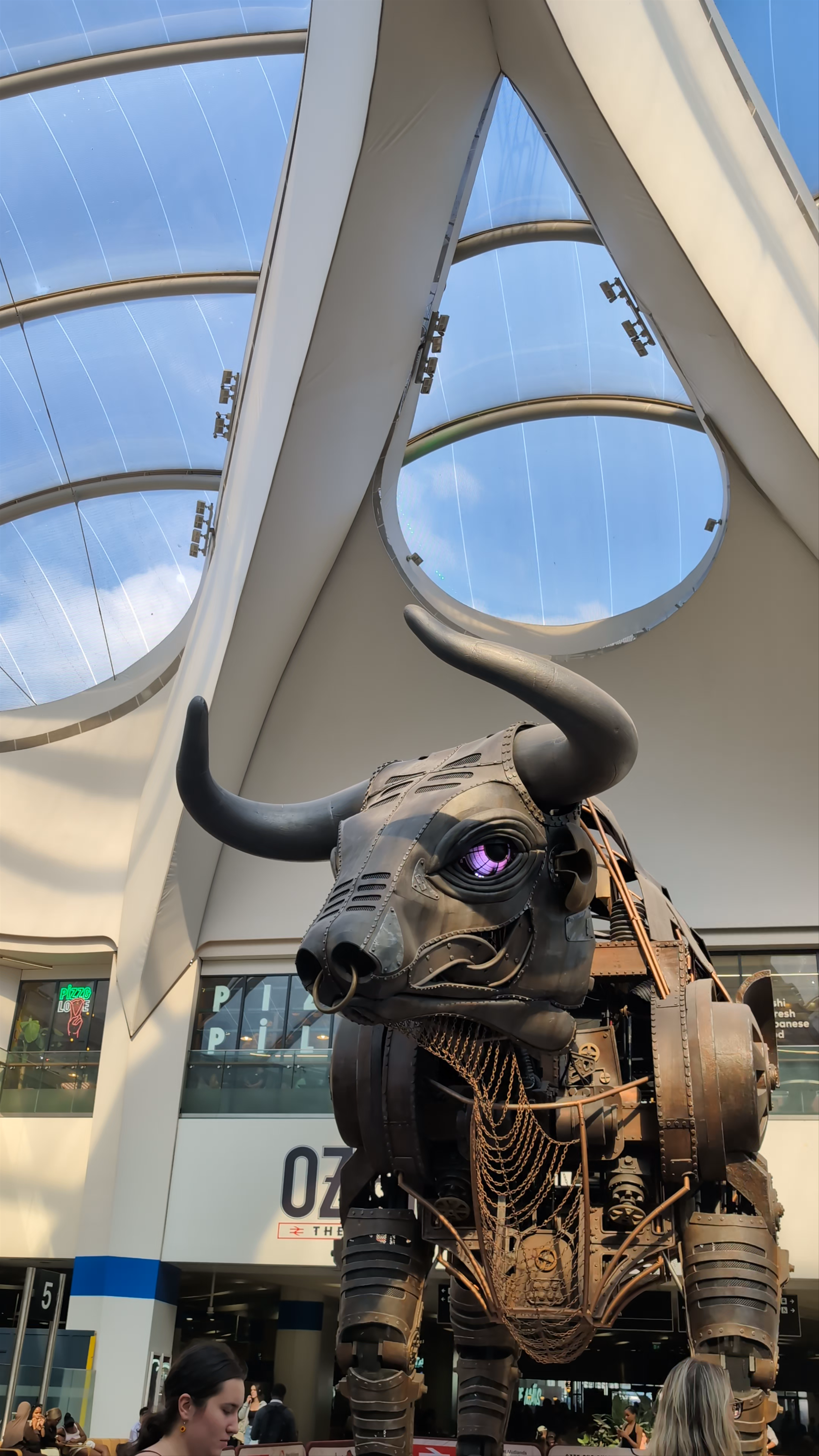 Ozzy the Bull