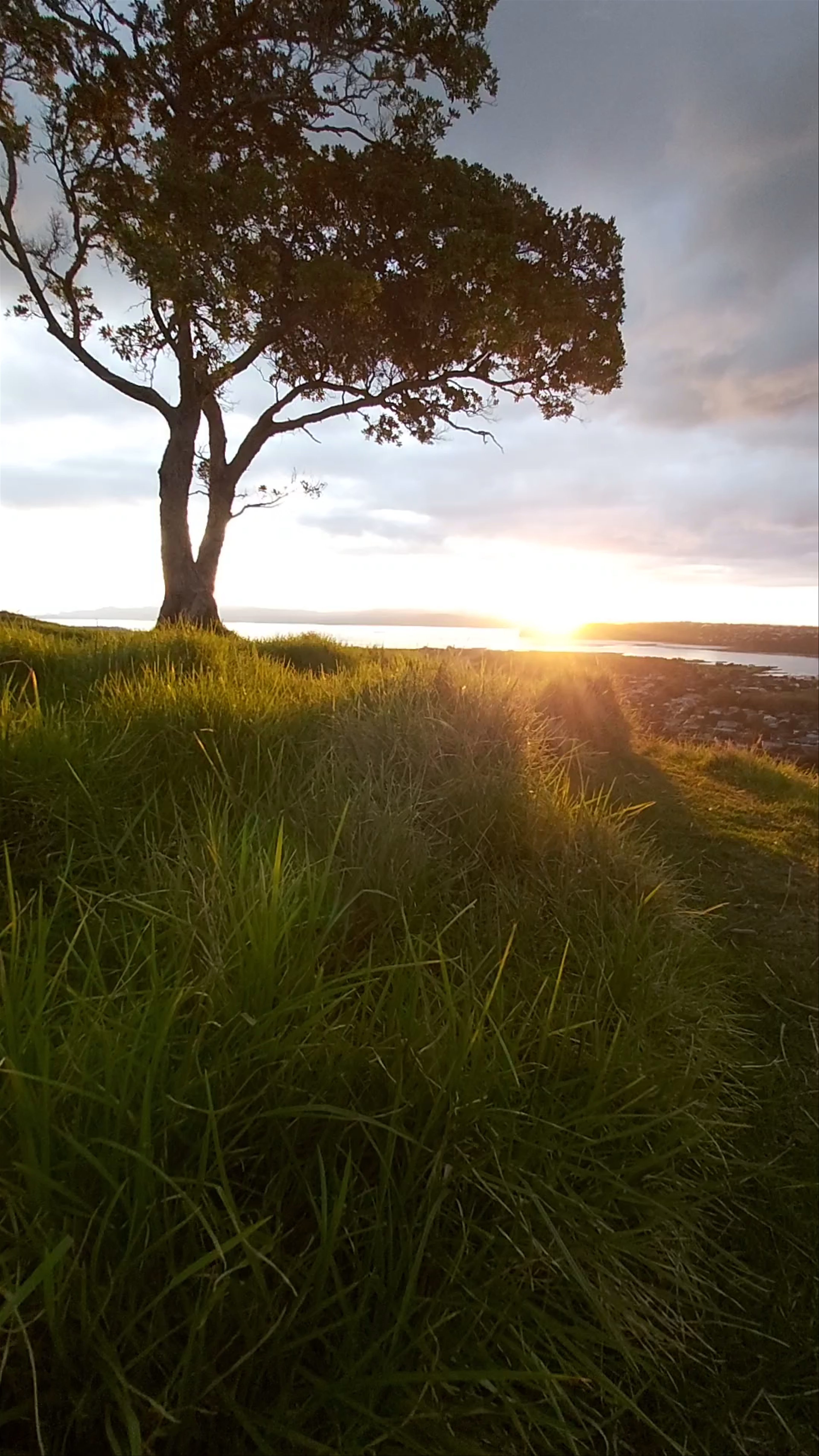 Golden Hour Serenity at Māngere Mountain Domain, Auckland