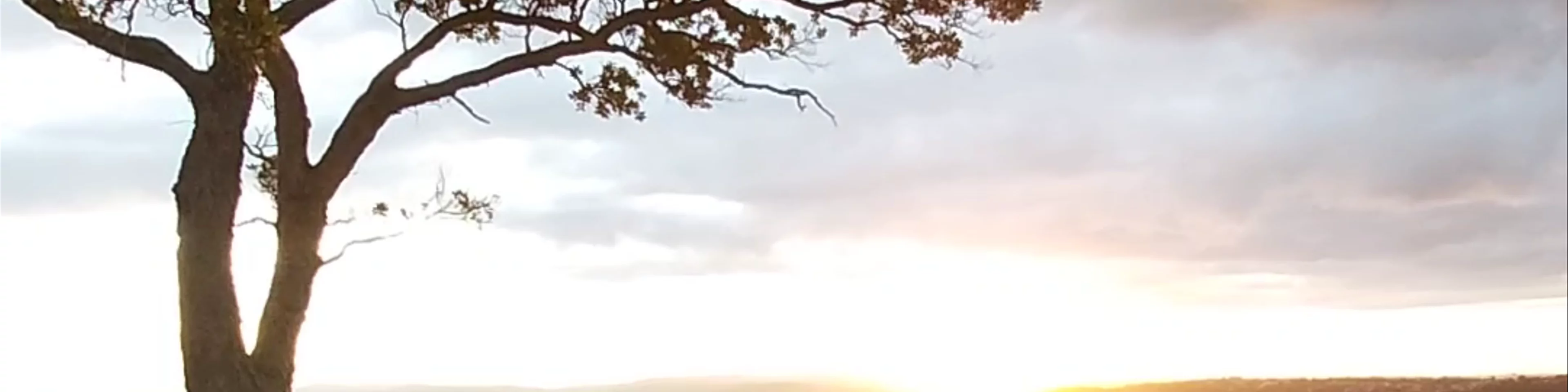 Mangere Mountain Domain Road