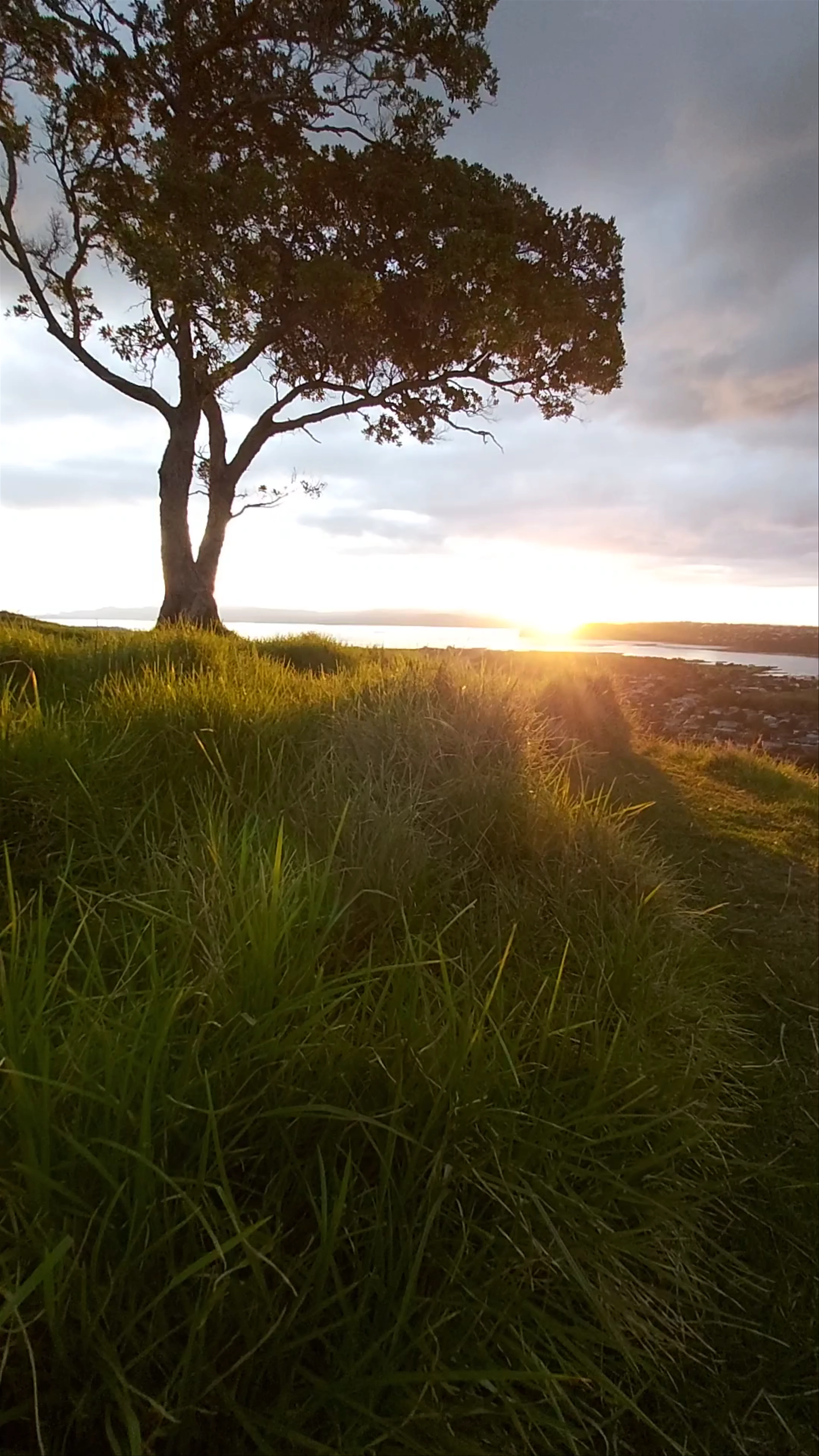 Mangere Mountain Domain Road, Māngere Bridge, Auckland, New Zealand