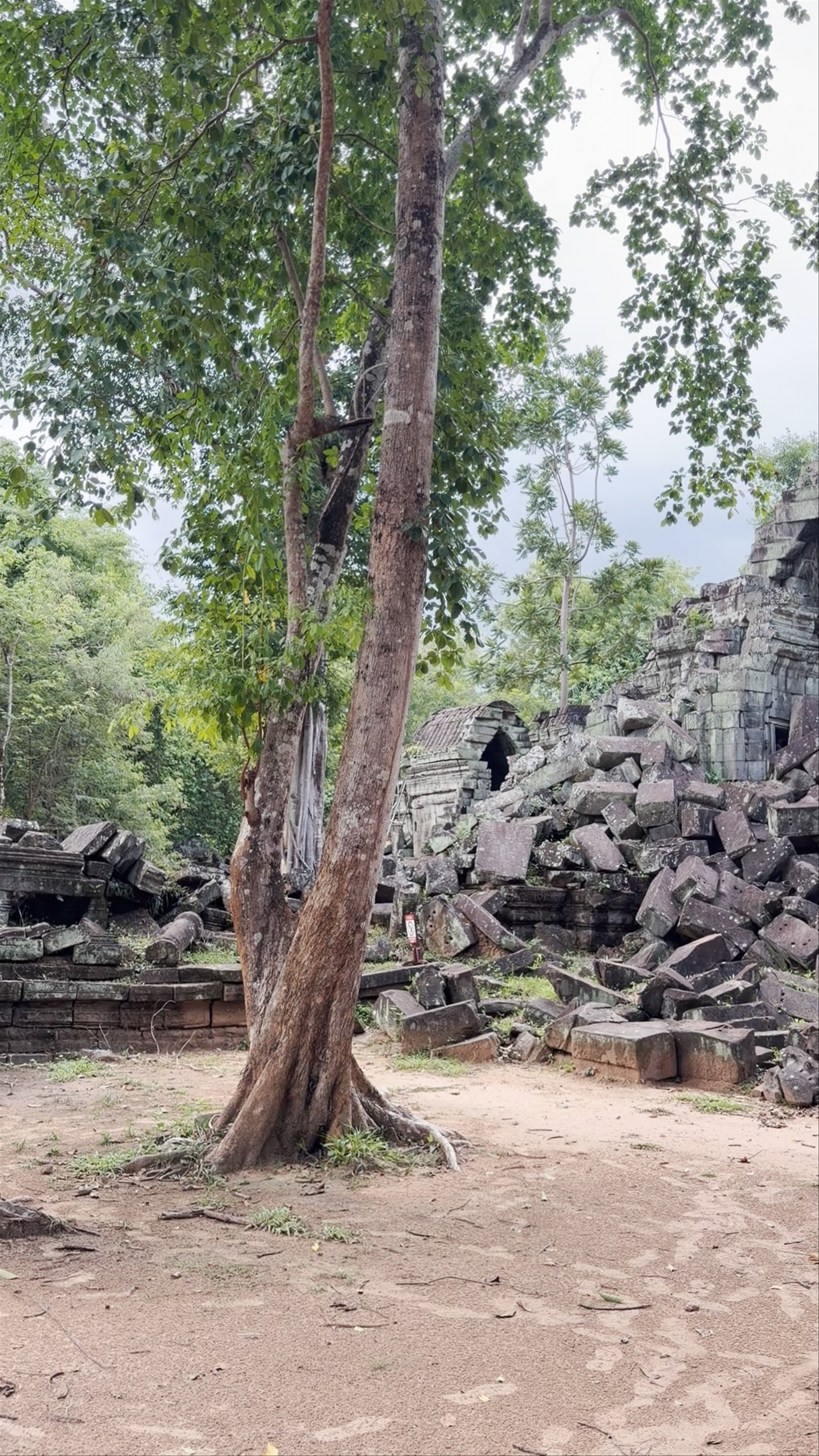 Beng Mealea Temple