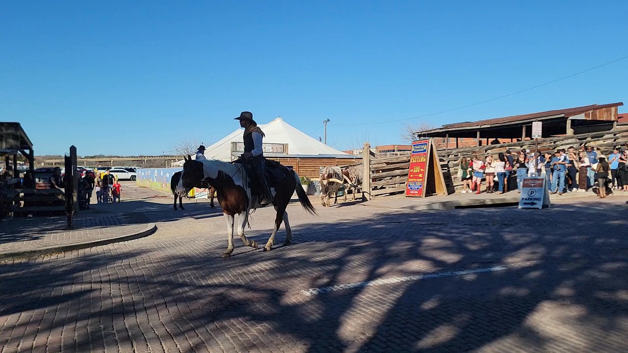 The Stockyards - Local Flavor Near Me - Fort Worth, Texas