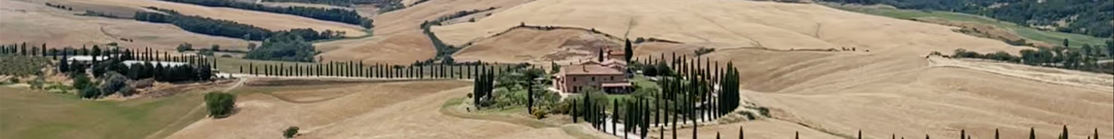 Tours & experiences in Arezzo