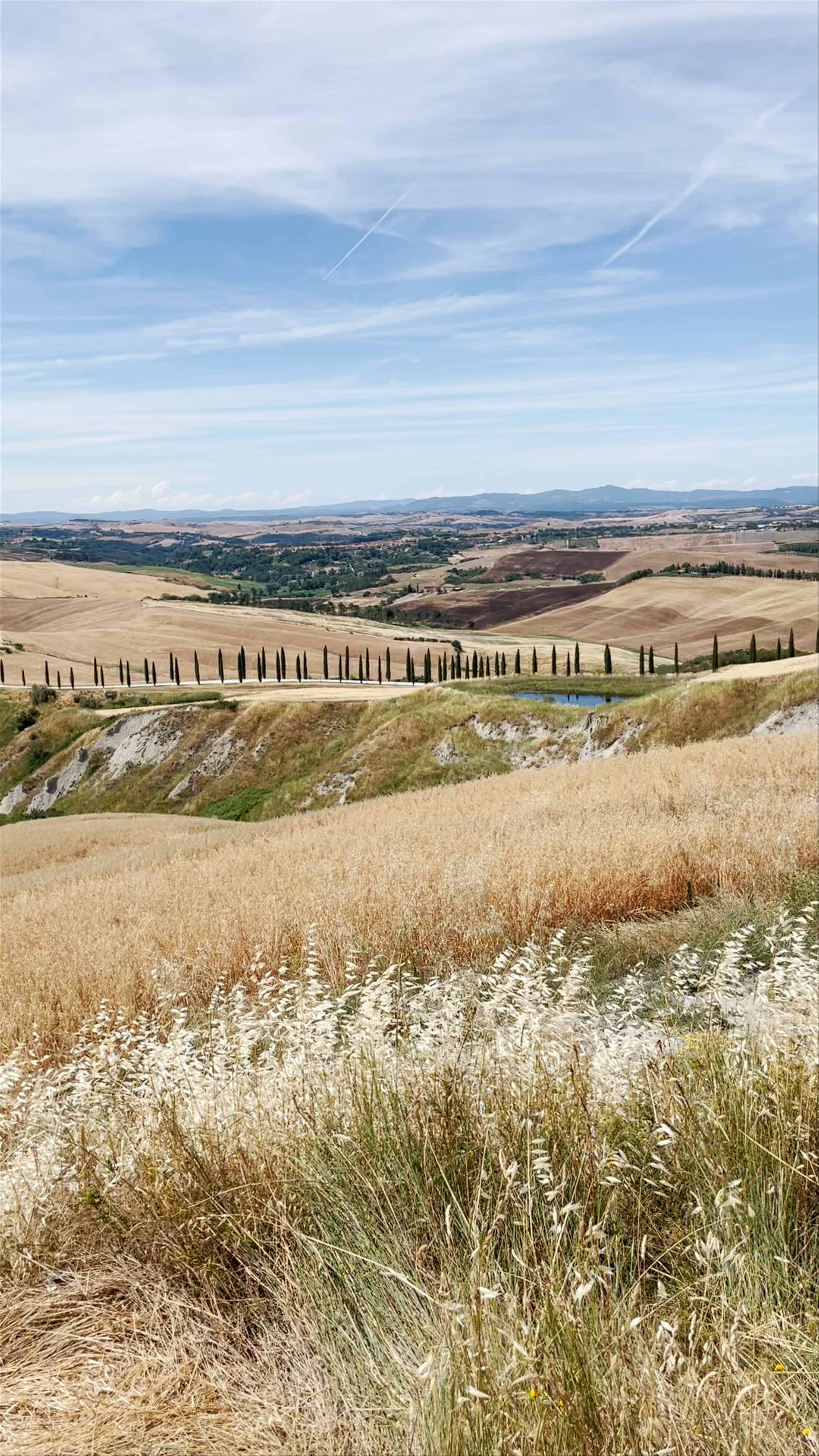 Agriturismo Baccoleno