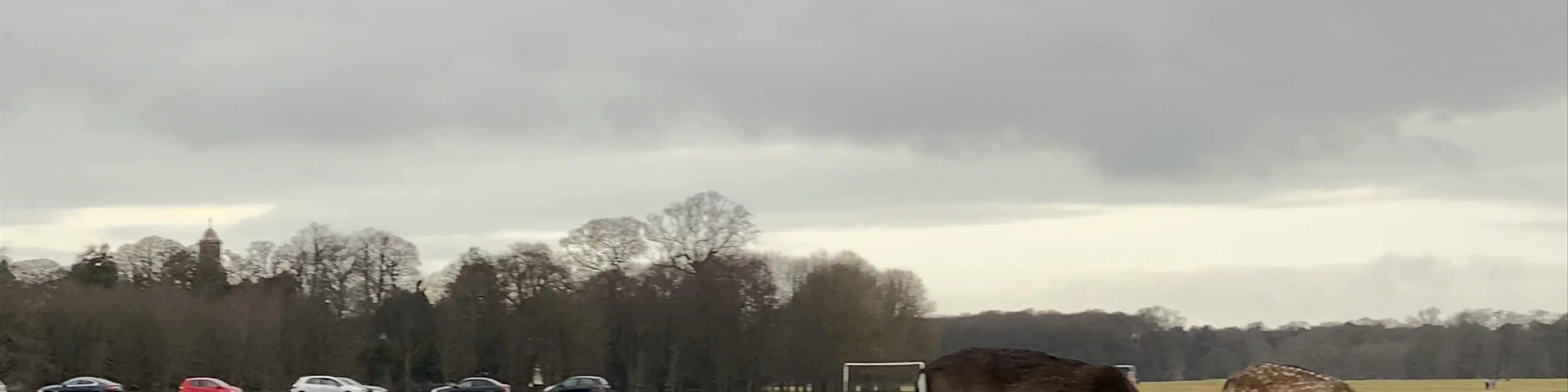 Phoenix Park