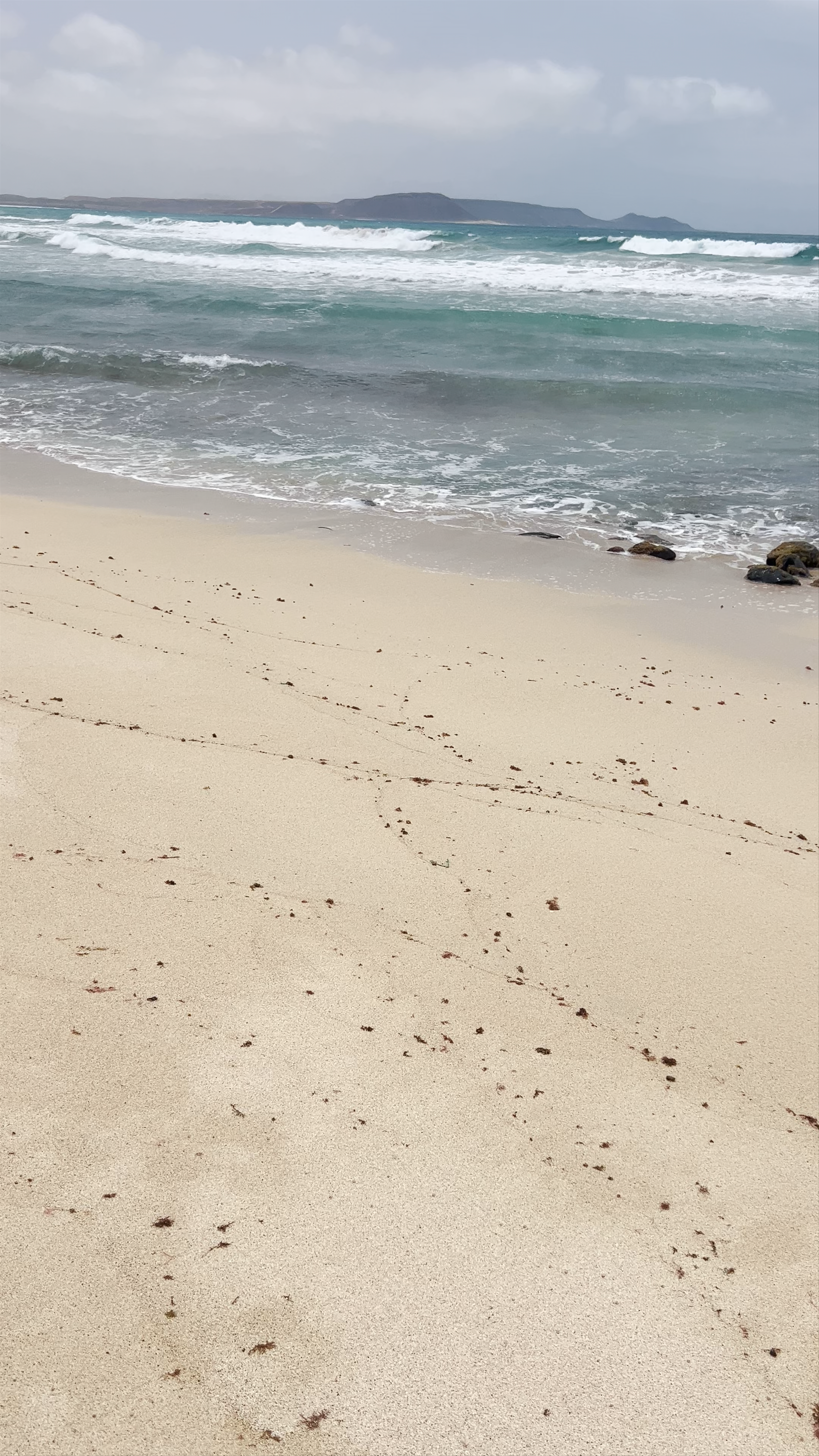 Kite Beach - Sal Cape Verde