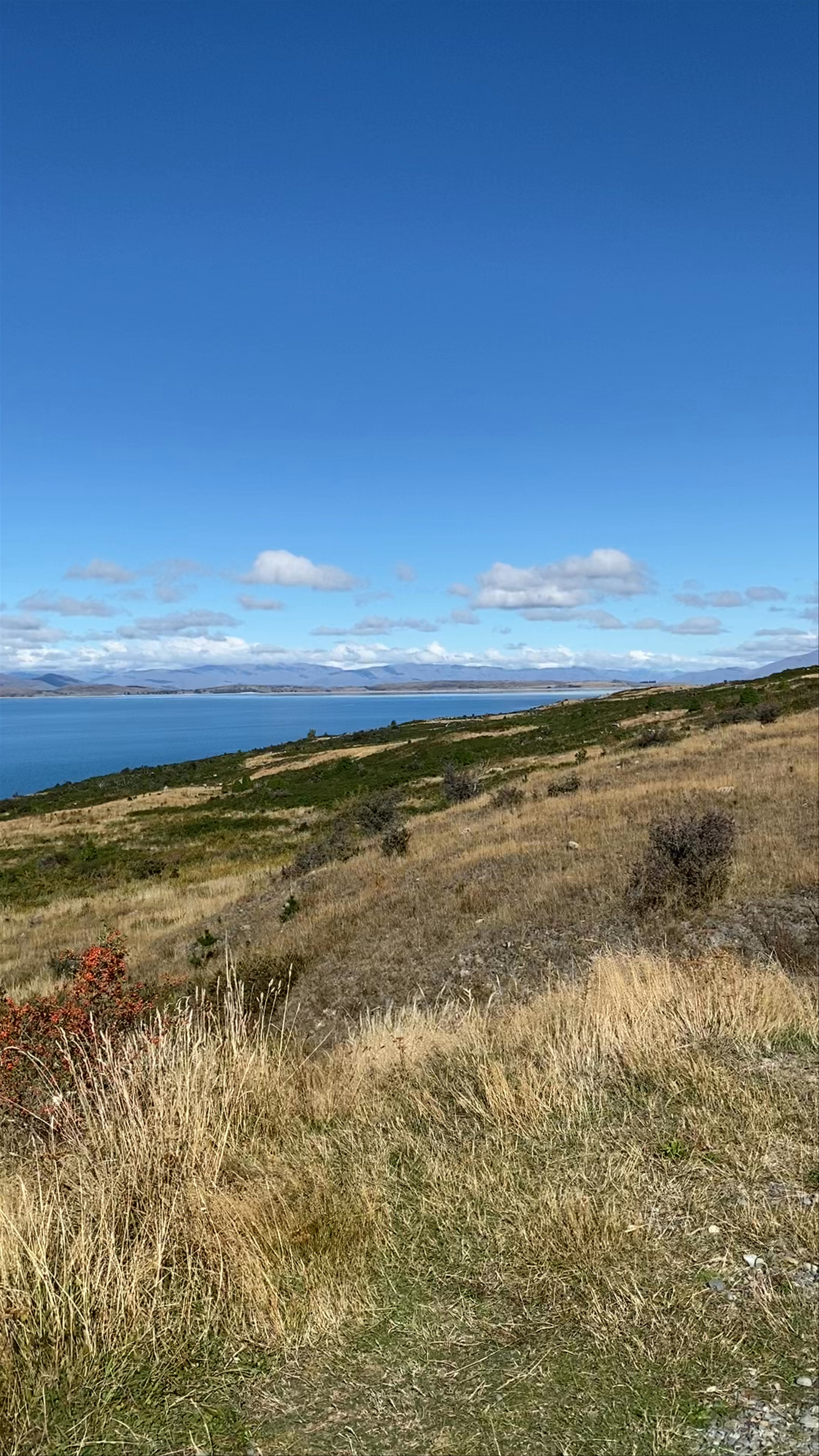 Tapataia Mahaka Peter's Lookout (Lake Pukaki Viewpoint) (Mount Cook Road) Mount Cook Road