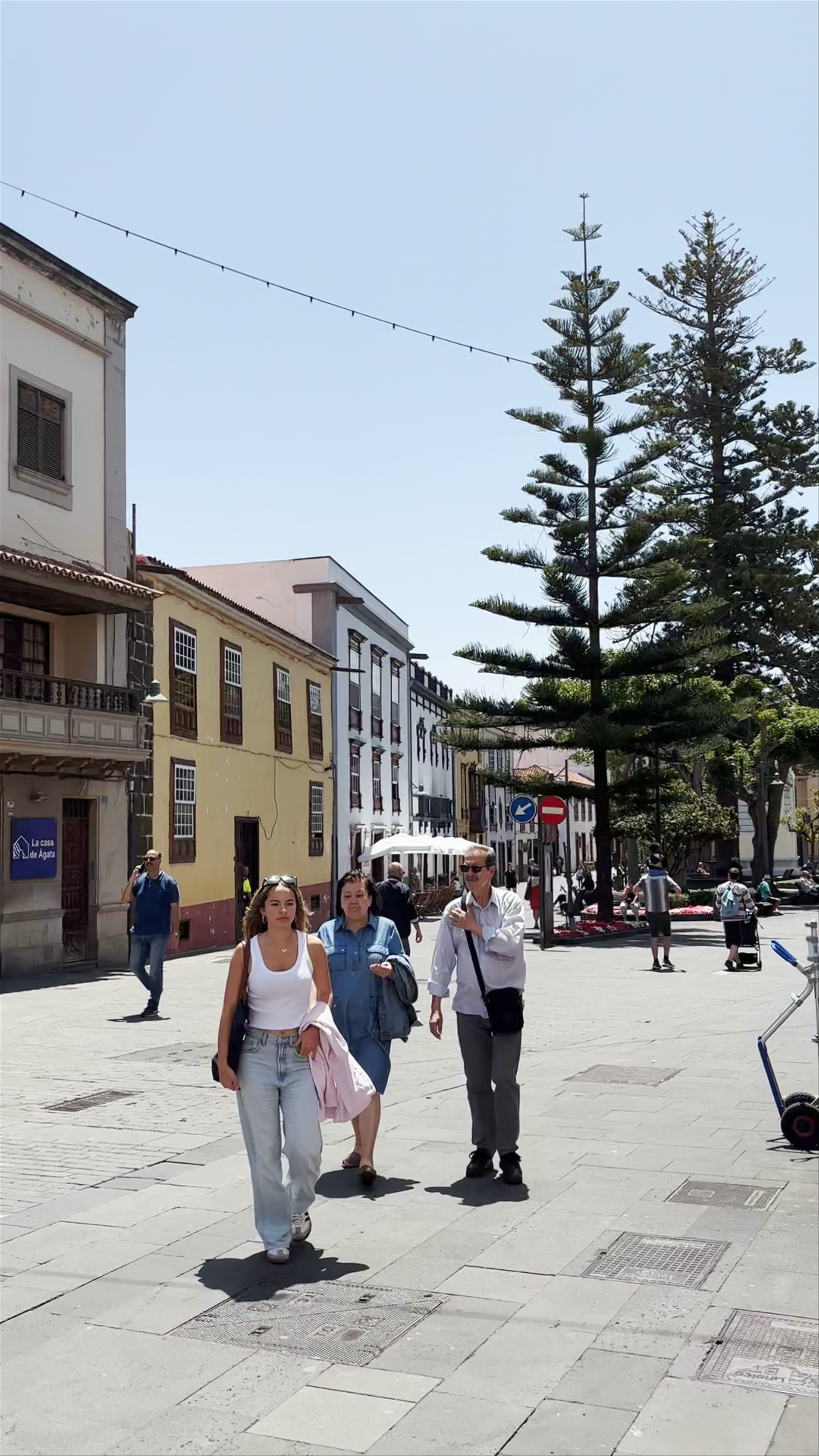 Sunny Stroll at Parque de La Constitución in La Laguna, Canary Islands