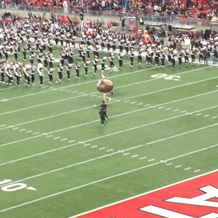 The Ohio State Buckeyes - Happy 50th Birthday, Brutus! - Amateur Sports Teams Near Me - Columbus, Ohio