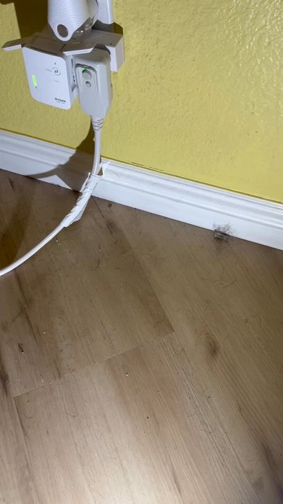 Capable Clean - Dust, debris and dog hair immediately following a deep clean and move-in and move-out clean - Home Cleaning Near Me - Anaheim, California
