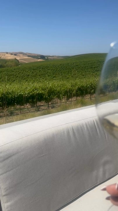 Cuvaison - Wineries Near Me - Napa, California
