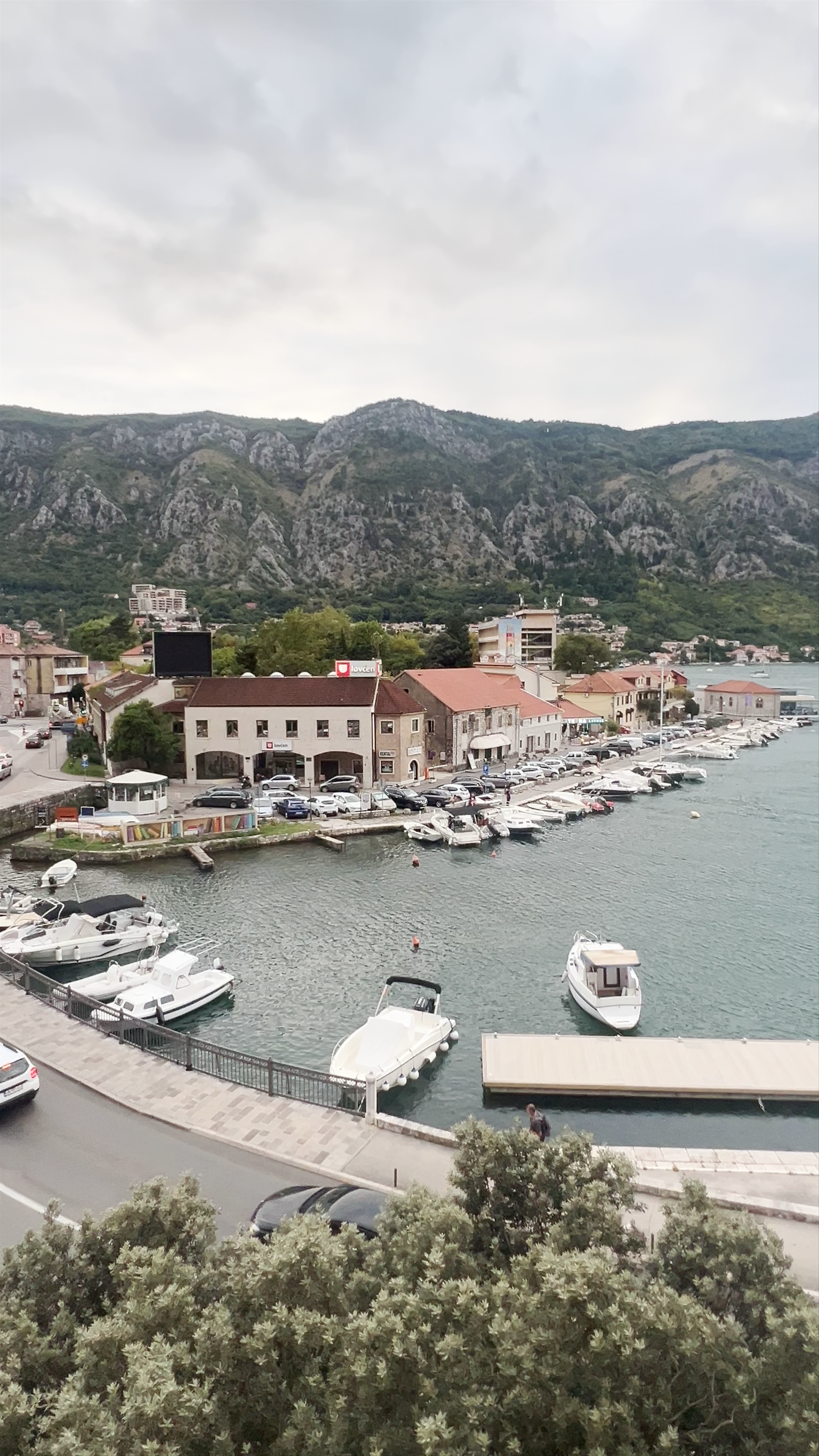 Port of Kotor