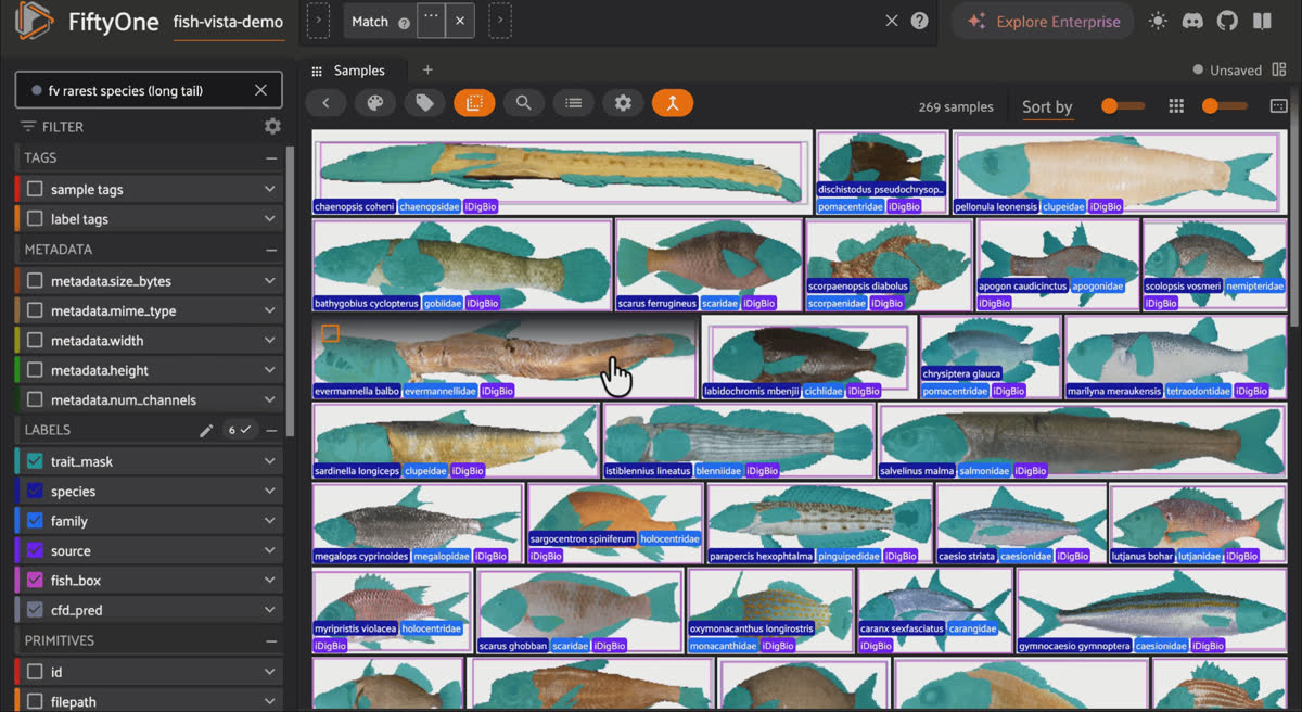 FiftyOne saved-views list running compound trait queries on Fish-Vista, such as barbel AND adipose fin and most anatomically complete