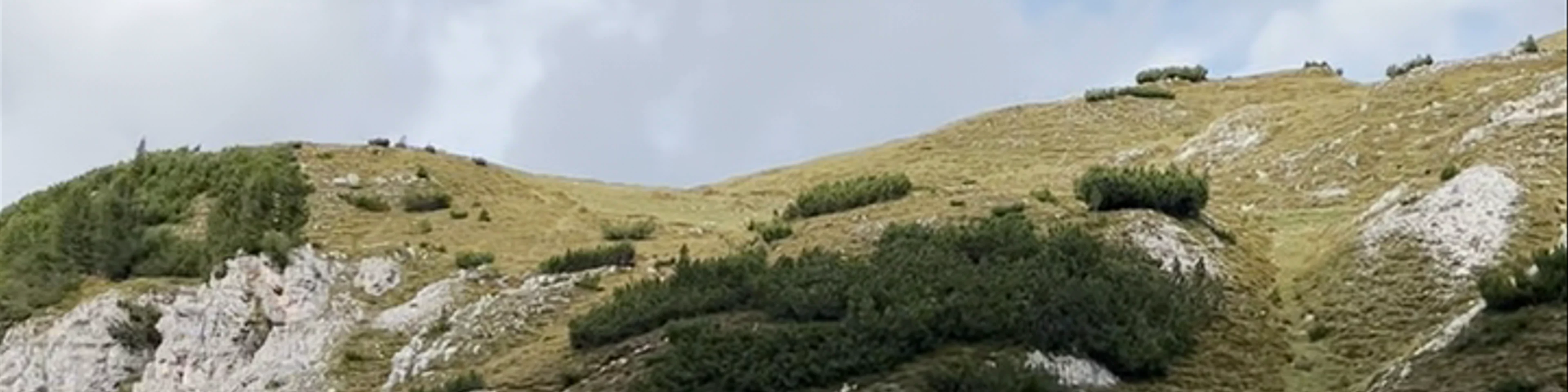 Lago d'Antorno