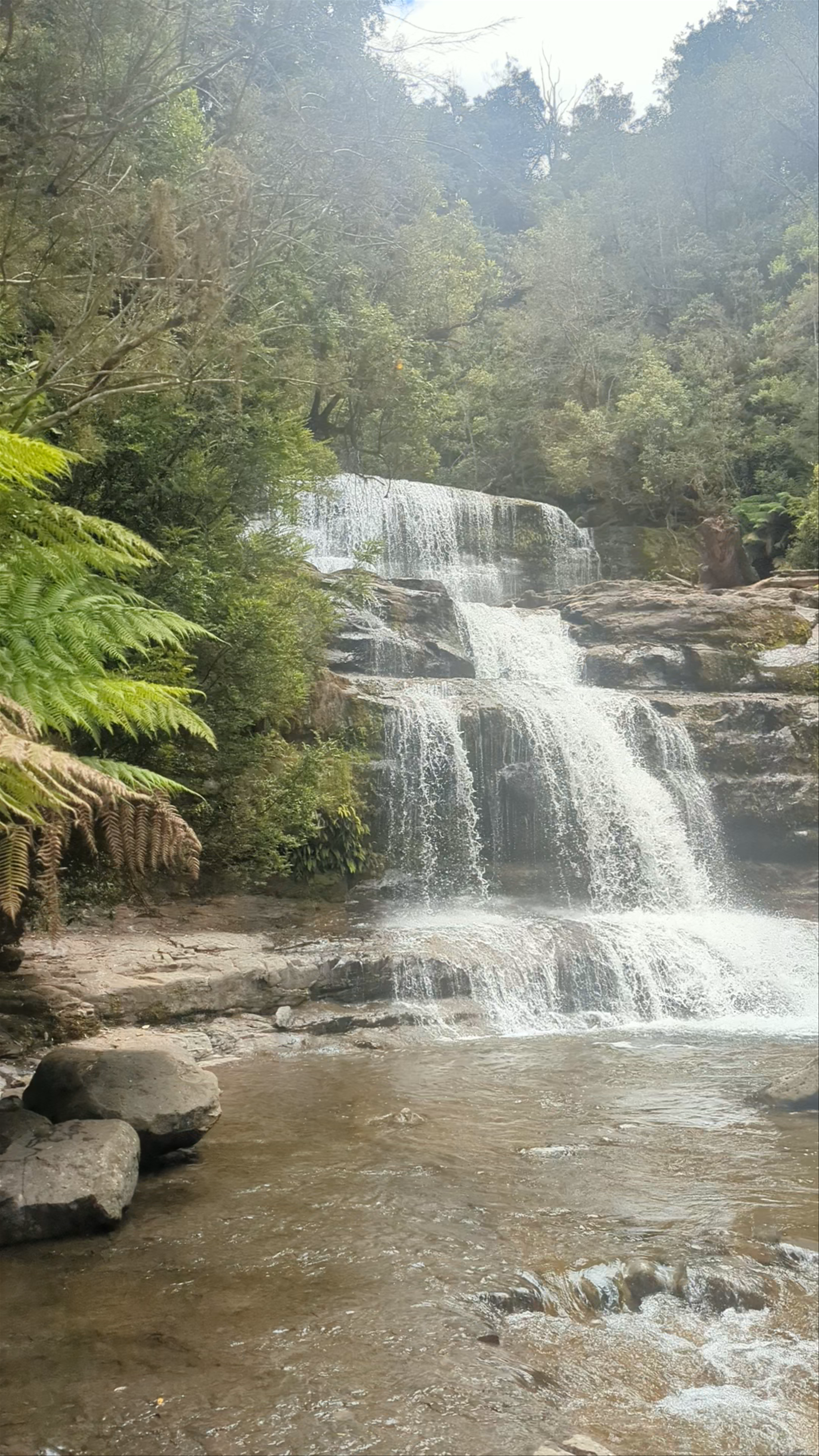 Liffey Falls