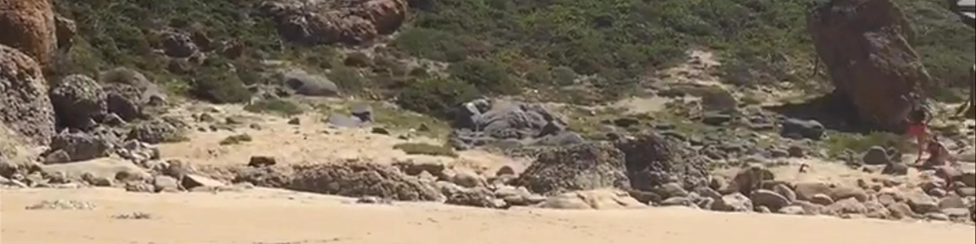 Robberg Nature Reserve