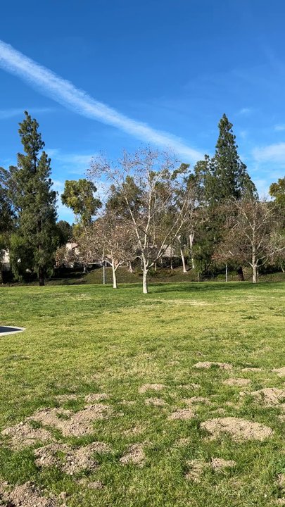 Shadow Ranch Park - Nice Saturday morning at the park - Parks Near Me - West Hills, California