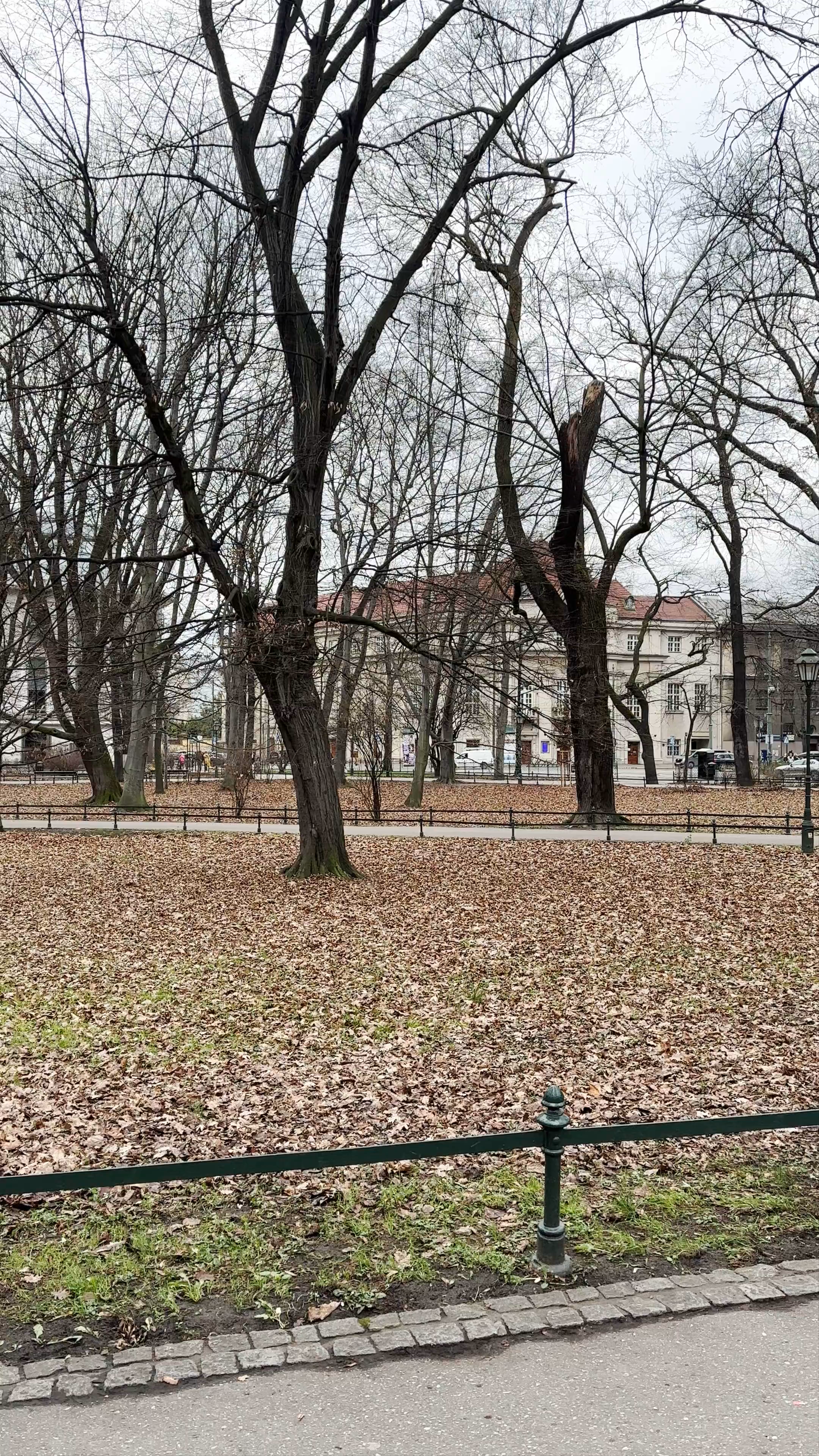 Park Adama Mickiewicza
