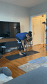 Exercise thumbnail image for Bent Over Row (alternating grip)