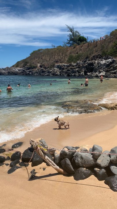 Paia - Public Services & Government Near Me